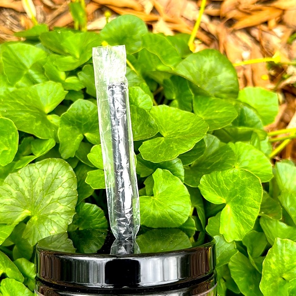 NWT Kate Spade Mini Hearts 20oz Insulated Tumbler - Picture 5 of 5